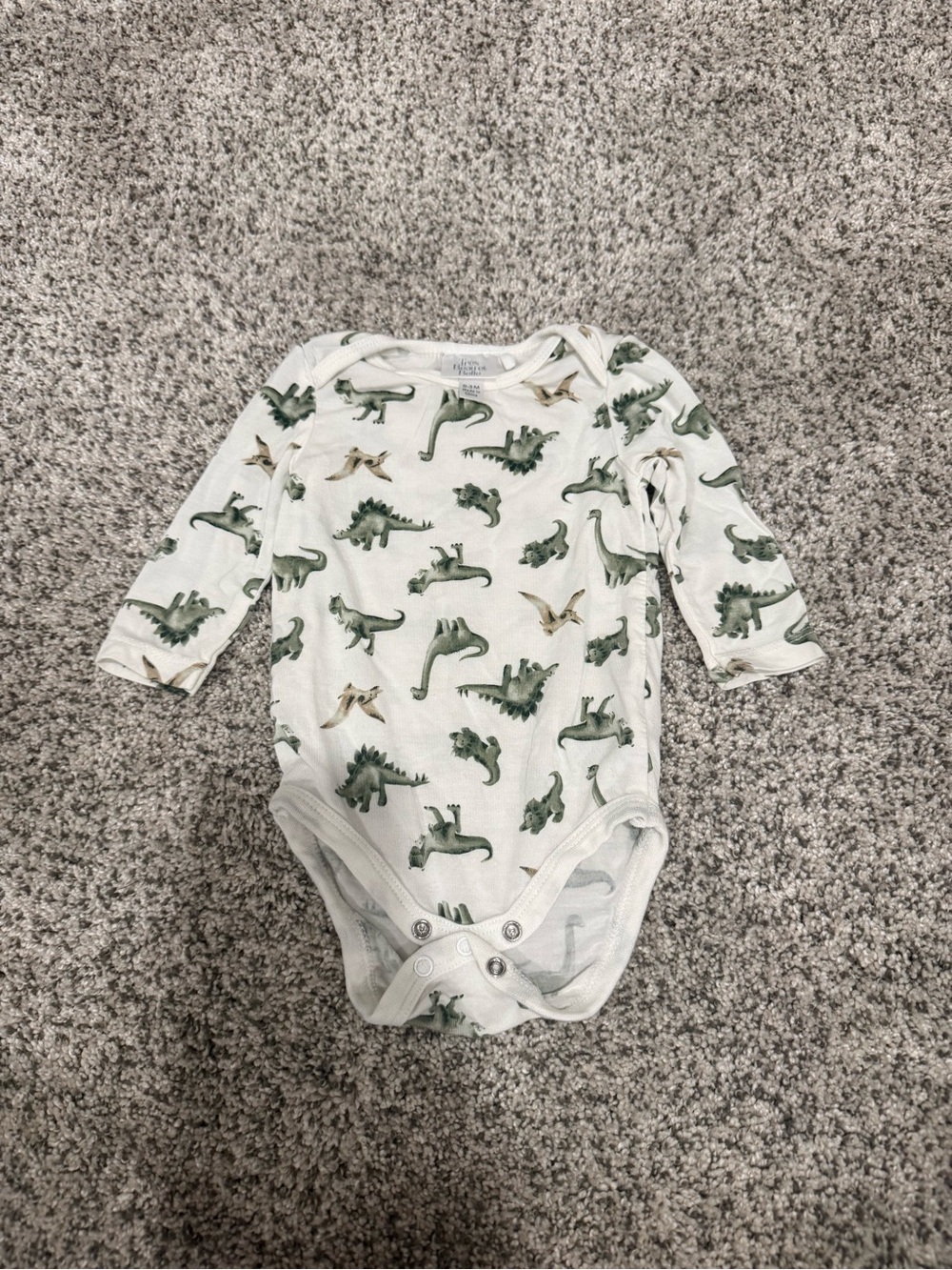 Tres Beau et Belle Dinosaur Onesie